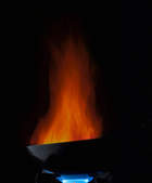 tkf003_262844
