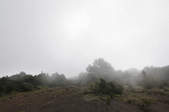 tkf003_285443
