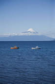 tkf003_286756