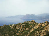 tkf003_344216