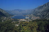 tkf003_348307
