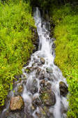 tkf003_397301