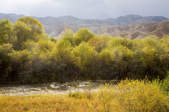 tkf003_400554