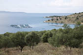 tkf003_401538