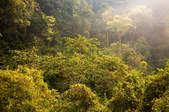 tkf003_406827