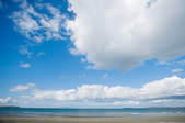 tkf003_409928
