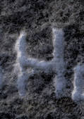 tkf003_420568