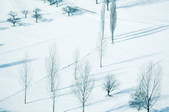 tkf003_440893