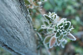 tkf003_441050