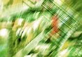 tkf003_450993