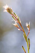 tkf003_460487