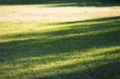 tkf003_478029
