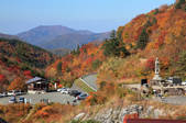tkf003_526303