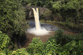 tkf003_529268