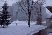 tkf003_529580