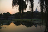 tkf003_533350