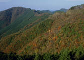 tkf003_533682