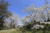tkf003_533694