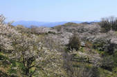 tkf003_533695