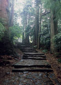 tkf003_533710
