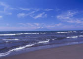 tkf003_534482