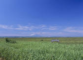 tkf003_534484