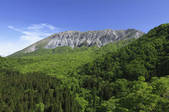 tkf003_534754