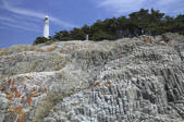 tkf003_534779