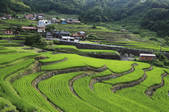 tkf003_534794