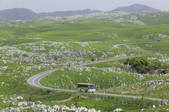tkf003_534817