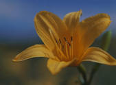 tkf003_540611