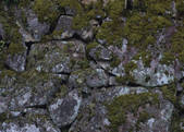 tkf003_541186