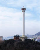 tkf003_542155