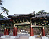 tkf003_542157