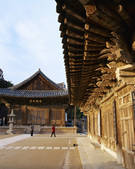 tkf003_542159