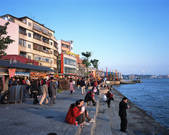 tkf003_542216
