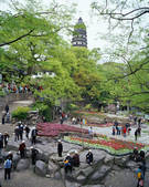 tkf003_542299