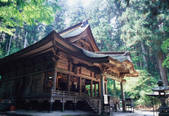tkf003_544477