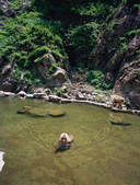 tkf003_544482