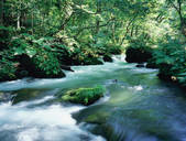 tkf003_546186