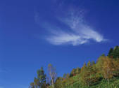 tkf003_546338