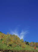 tkf003_546340