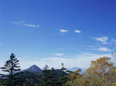 tkf003_546361