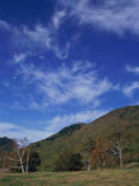 tkf003_546374
