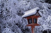 tkf003_546528