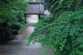 tkf003_546609