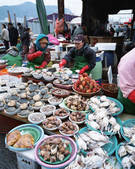 tkf003_549132