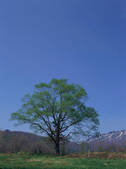 tkf003_550572