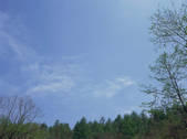 tkf003_550573