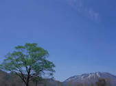 tkf003_550575